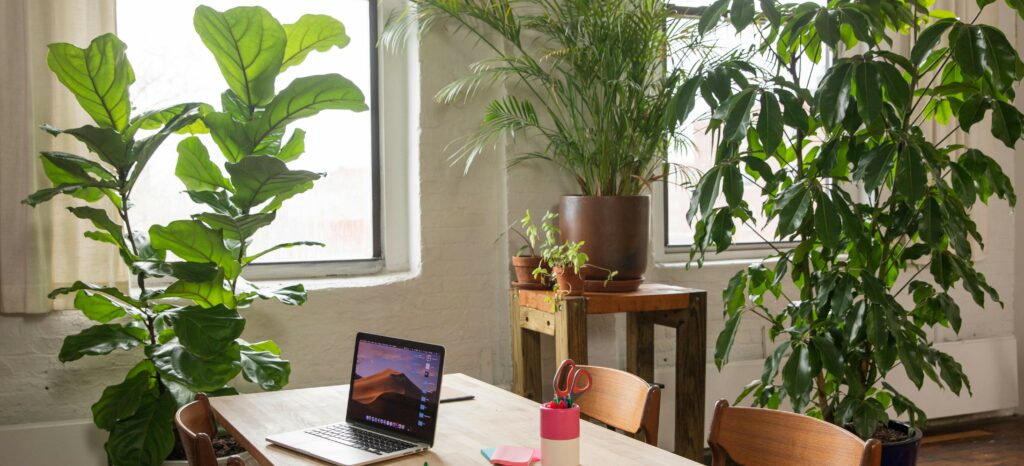 entrepriseplantes